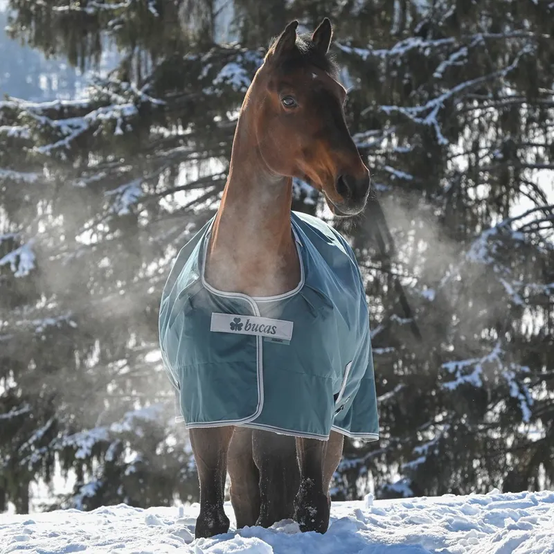 Bucas Atlantic 50g Standard Neck Turnout Blanket - Atlantic Green-5
