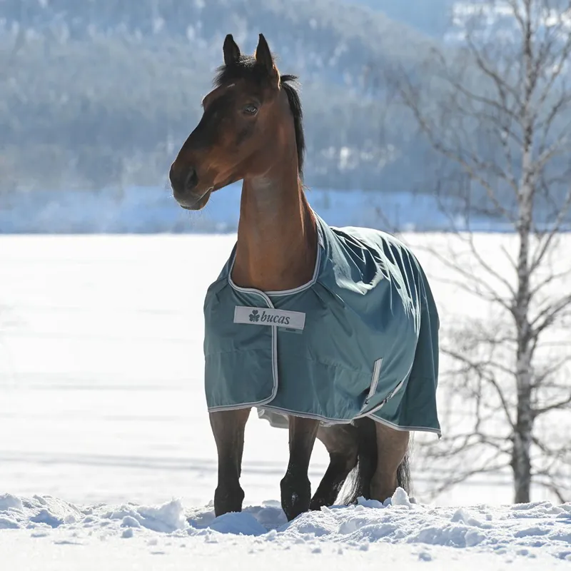 Bucas Atlantic 50g Standard Neck Turnout Blanket - Atlantic Green-4