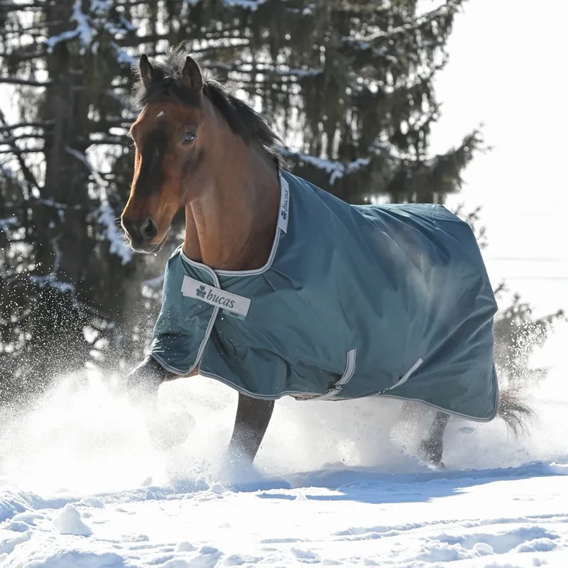 Bucas Atlantic 50g Standard Neck Turnout Blanket - Atlantic Green-1