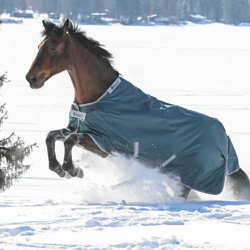 Bucas Atlantic 50g Standard Neck Turnout Blanket - Atlantic Green-3
