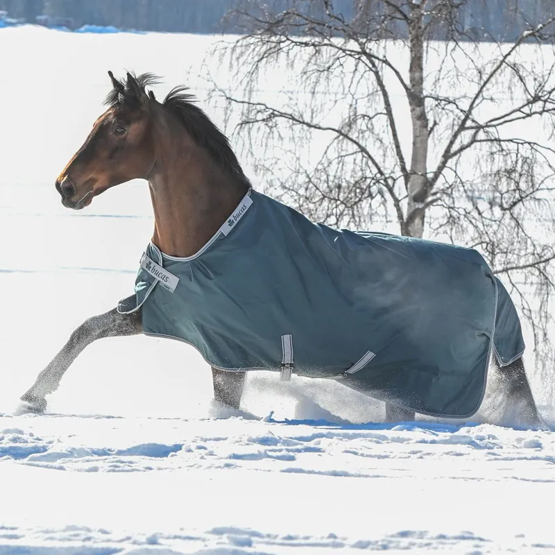 Bucas Atlantic 50g Standard Neck Turnout Blanket - Atlantic Green-2
