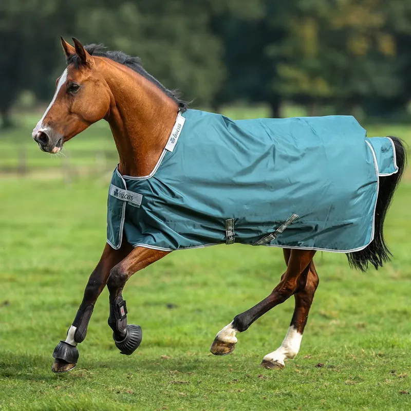 Bucas Atlantic 50g Standard Neck Turnout Blanket - Atlantic Green