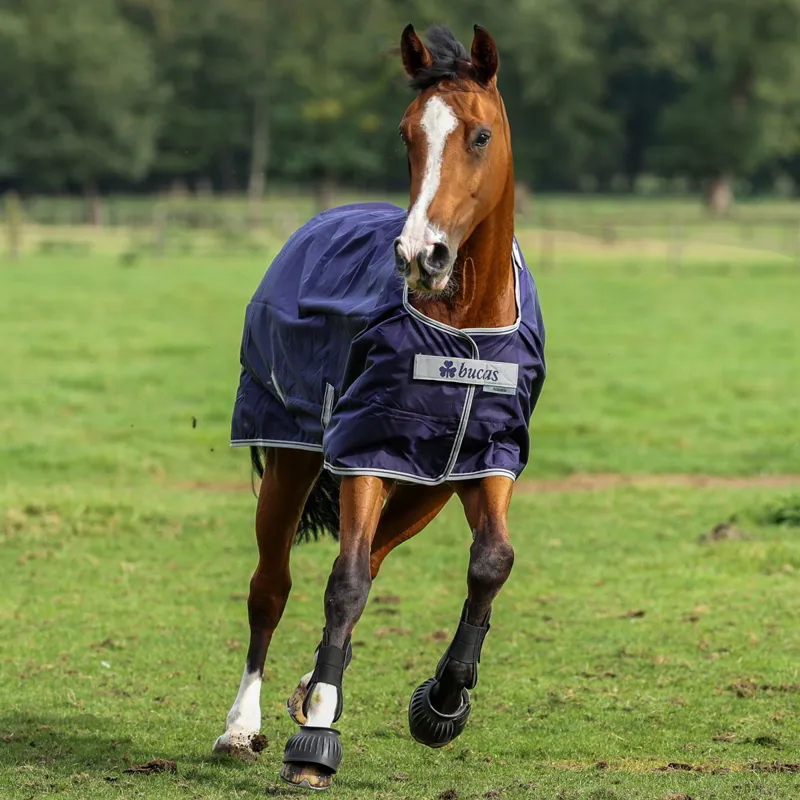 Bucas Atlantic 200g Standard Neck Turnout Blanket - Navy/Silver-3