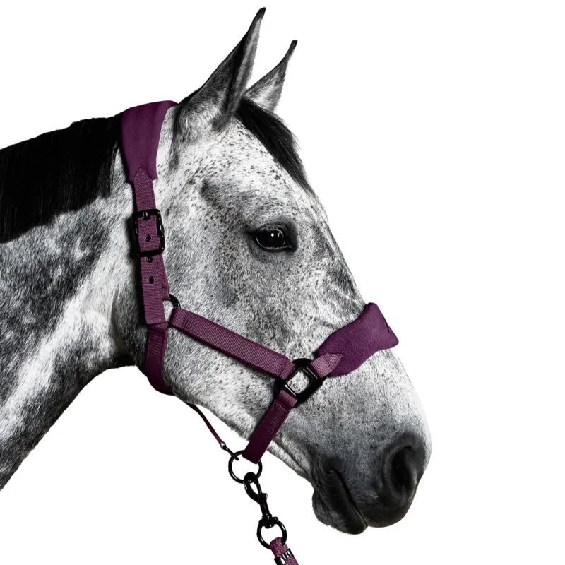 Aztec Diamond Panel Halter - Plum