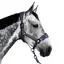 Aztec Diamond Panel Halter - Amethyst