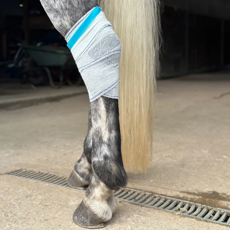 Equi-N-Ice Reusable Therapeutic Cooling Horse Bandage-8