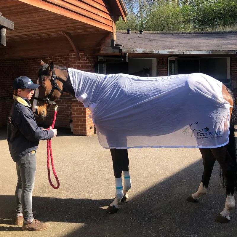 Equi-N-Ice Reusable Therapeutic Cooling Horse Bandage-6
