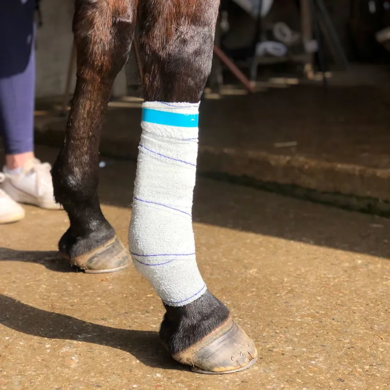Equi-N-Ice Reusable Therapeutic Cooling Horse Bandage-2