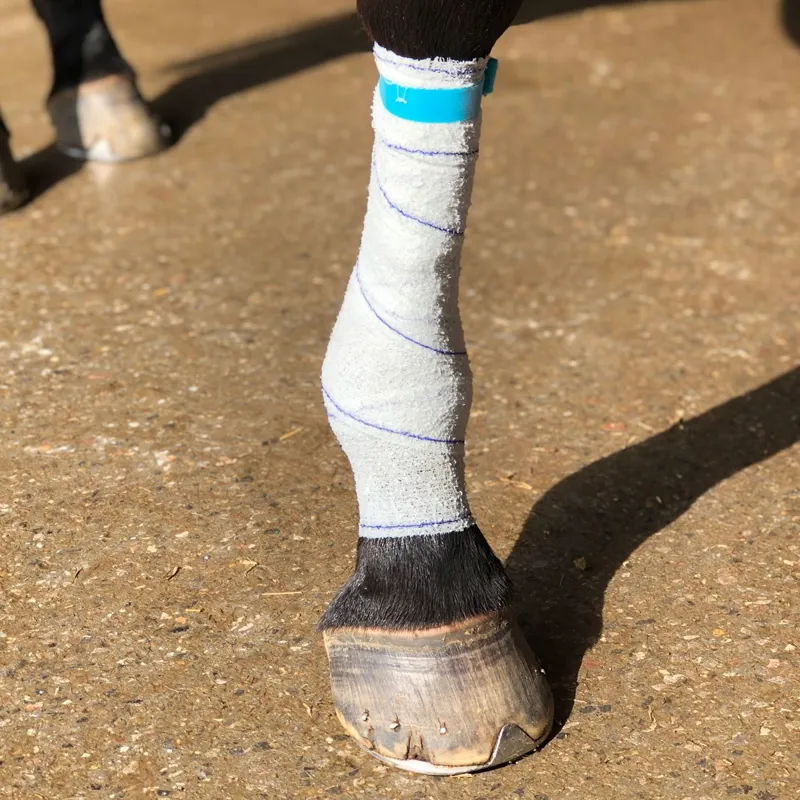 Equi-N-Ice Reusable Therapeutic Cooling Horse Bandage-3