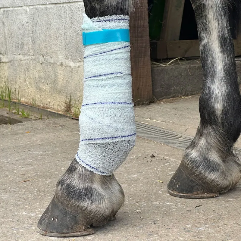 Equi-N-Ice Reusable Therapeutic Cooling Horse Bandage-4