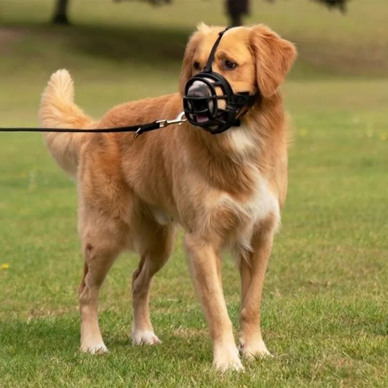 Baskerville Ultra Basket Dog Muzzle - Black-3
