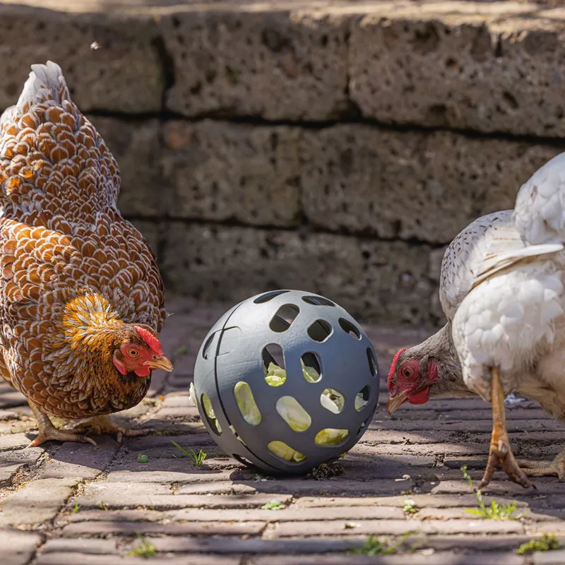 beeztees Chicken Snack Ball-1