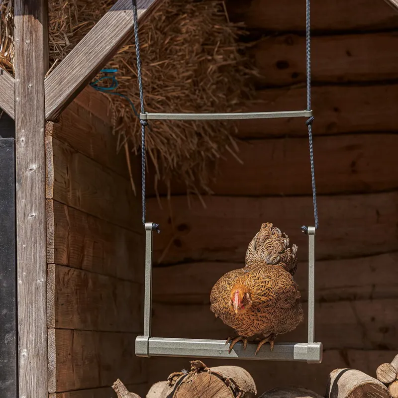 beeztees Hanging Chicken Swing-2