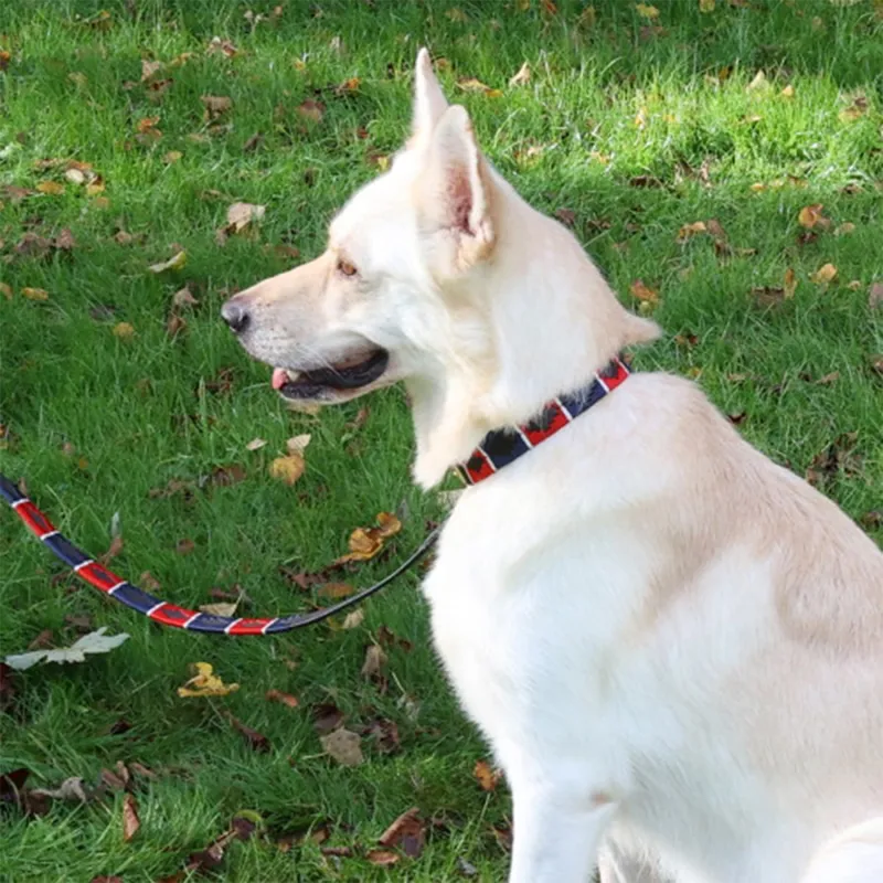 Benji and Flo Sublime Polo Leather Dog Collar - Red/Navy/White-1