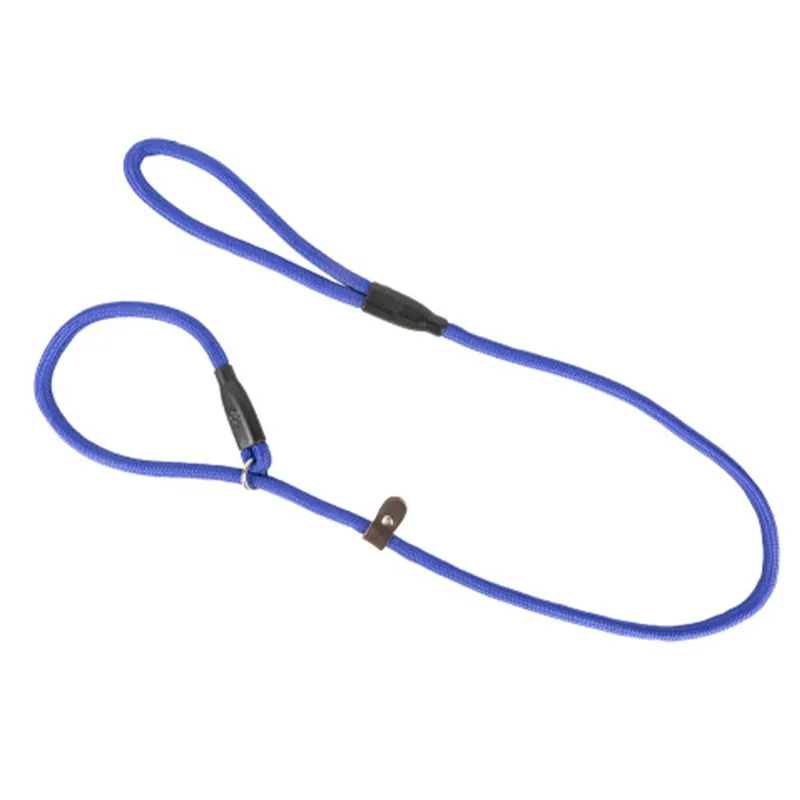 Benji and Flo Classic Slip Dog Leash - Royal Blue