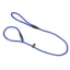 Benji and Flo Classic Slip Dog Leash - Royal Blue