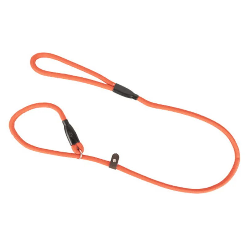 Benji and Flo Classic Slip Dog Leash - Red