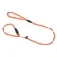 Benji and Flo Classic Slip Dog Leash - Red