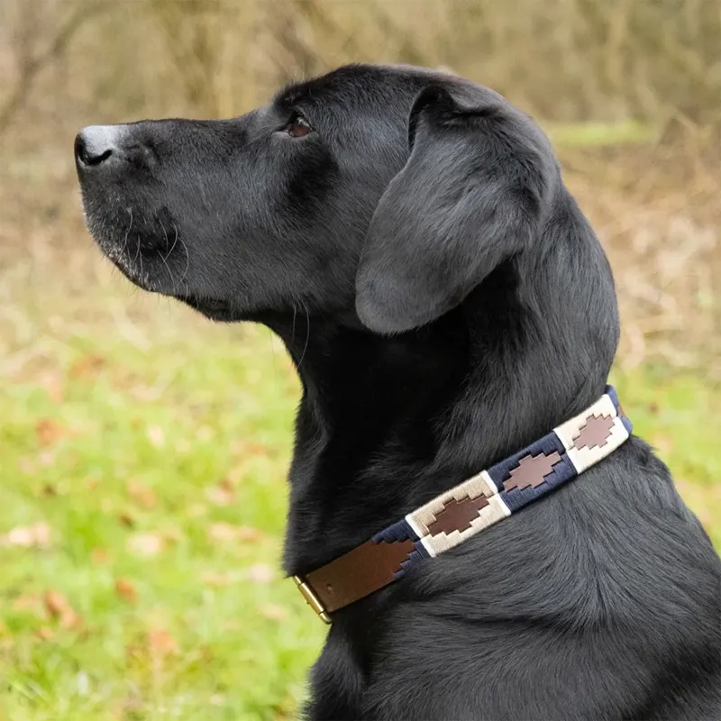 Benji and Flo Sublime Polo Leather Dog Collar - Navy/Fossil-1