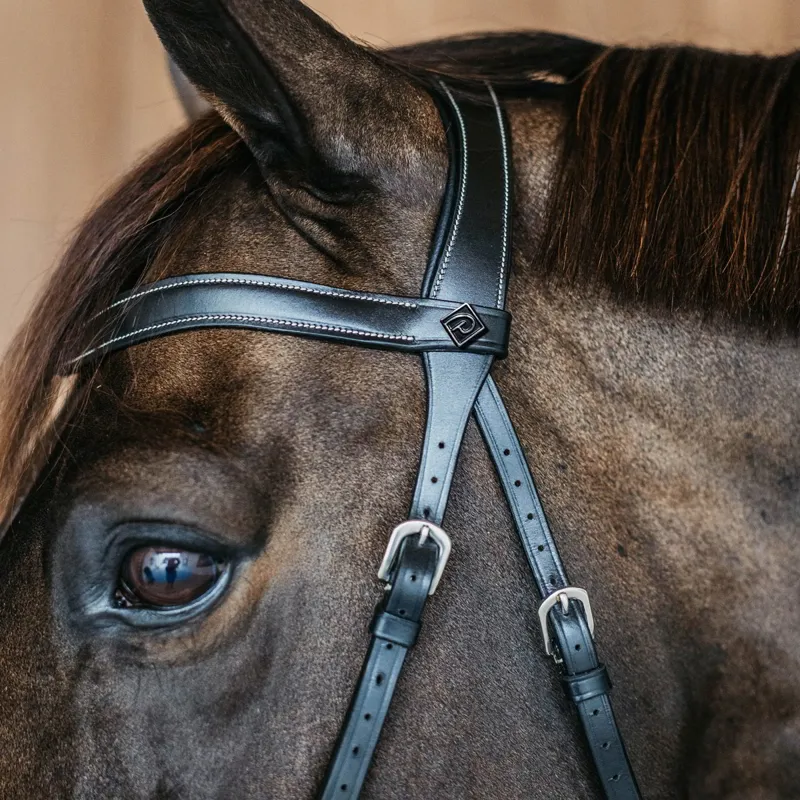 Dy'on Working Bitless Bridle - Black-4