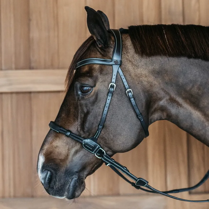 Dy'on Working Bitless Bridle - Black-3