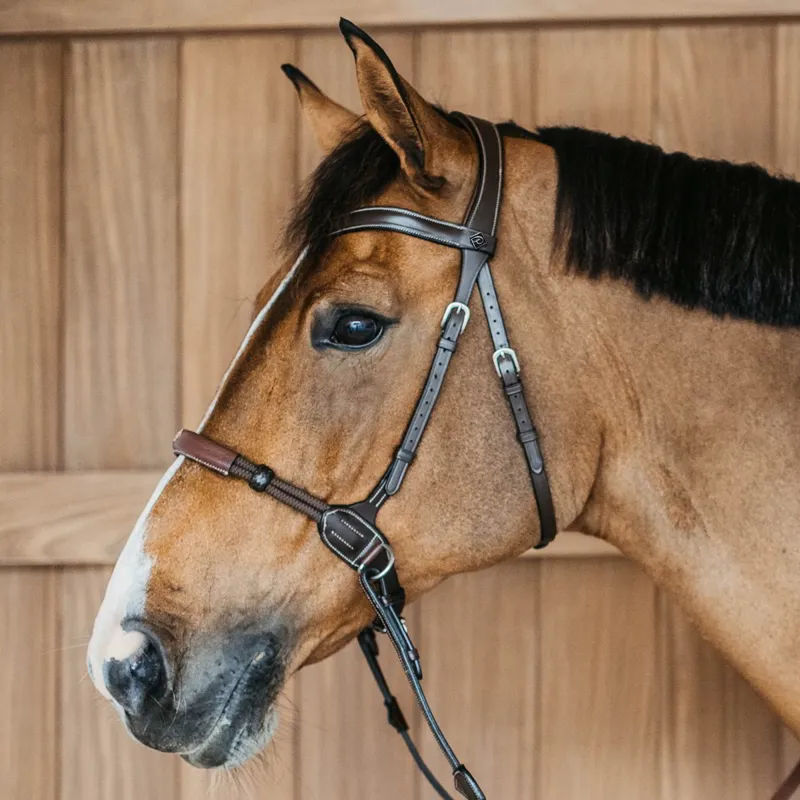 Dy'on Working Bitless Bridle - Brown-1