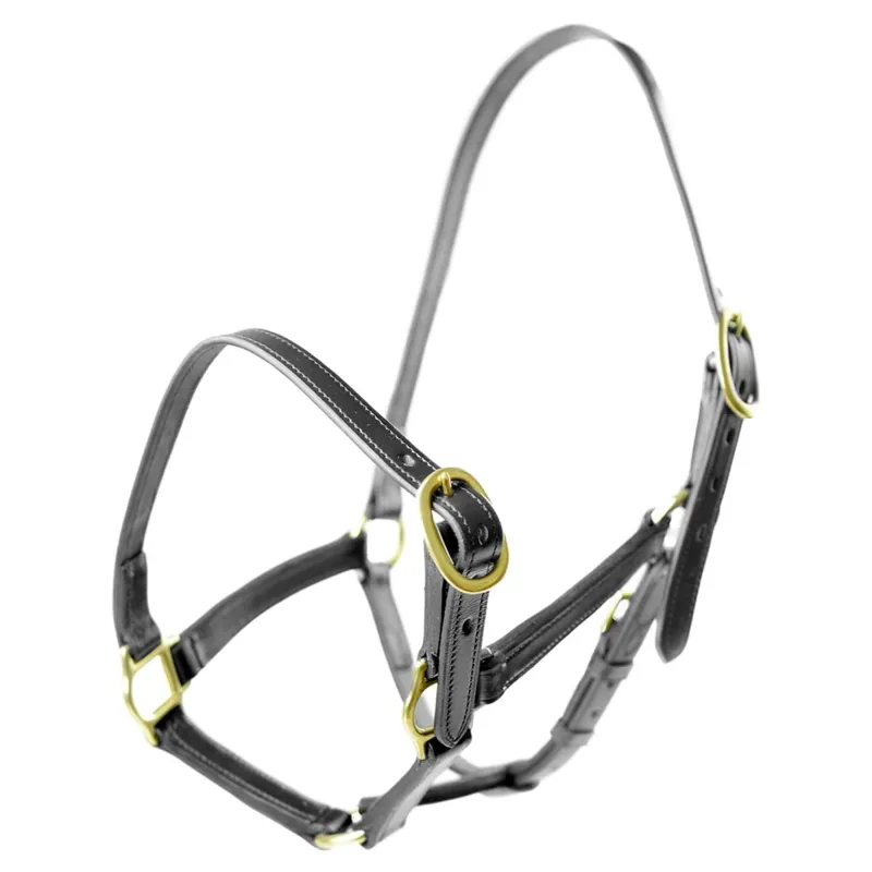 Dever Ascot Weaning to Yearling Leather Halter - Black