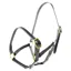 Dever Ascot Weaning to Yearling Leather Halter - Black