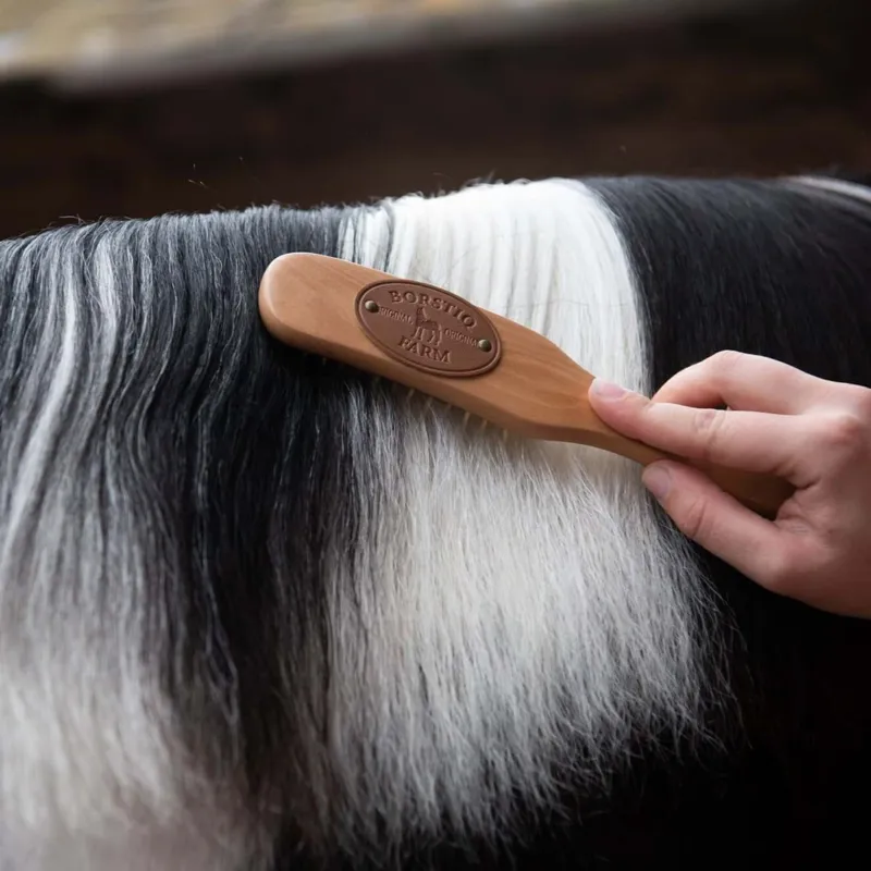 Borstiq Ergo Medium Mane and Tail Brush-4