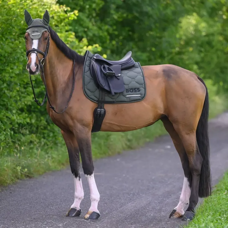 BOSS Equestrian Cambridge Dressage Saddle Pad - Pine Grove-3