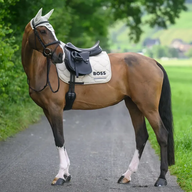 BOSS Equestrian Cambridge Dressage Saddle Pad - Pumice-2