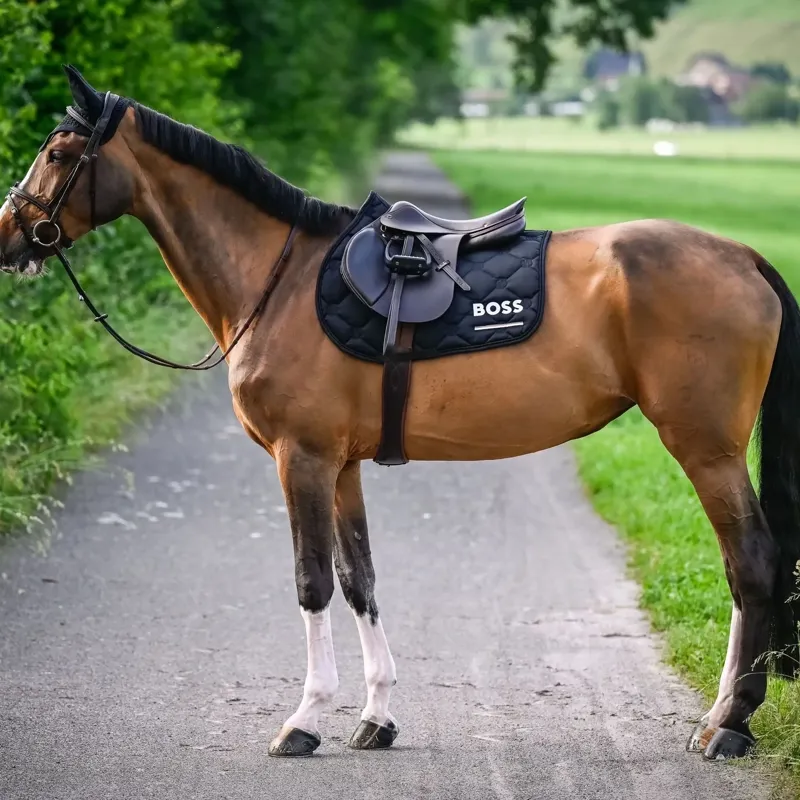BOSS Equestrian Cheltenham Jump Saddle Pad - Black-2