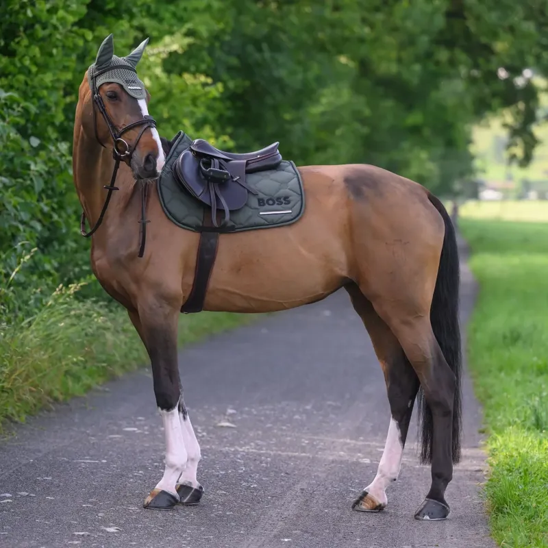 BOSS Equestrian Cheltenham Jump Saddle Pad - Pine Grove-2