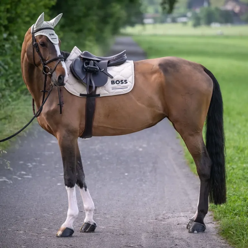 BOSS Equestrian Cheltenham Jump Saddle Pad - Pumice-2
