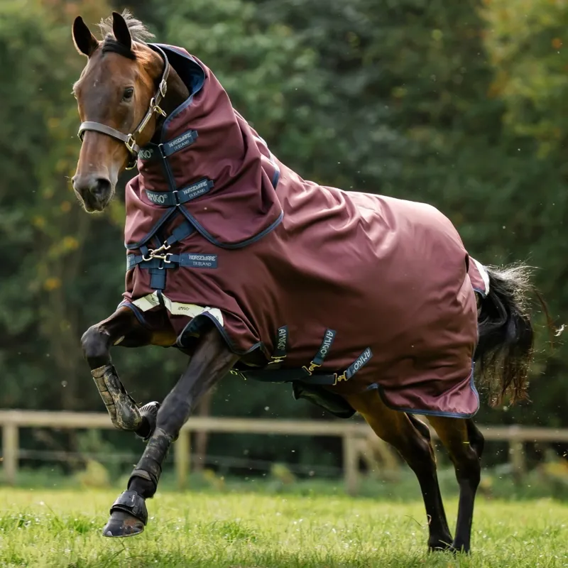 Amigo 1200D Plus 100g Detachable Neck Turnout Blanket - Burgundy/Navy/Grey