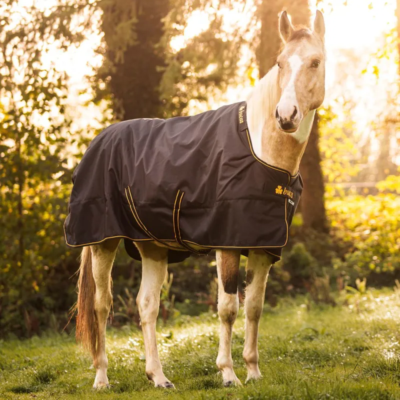 Bucas Irish 50g Detachable Neck Turnout Blanket - Black/Gold-4