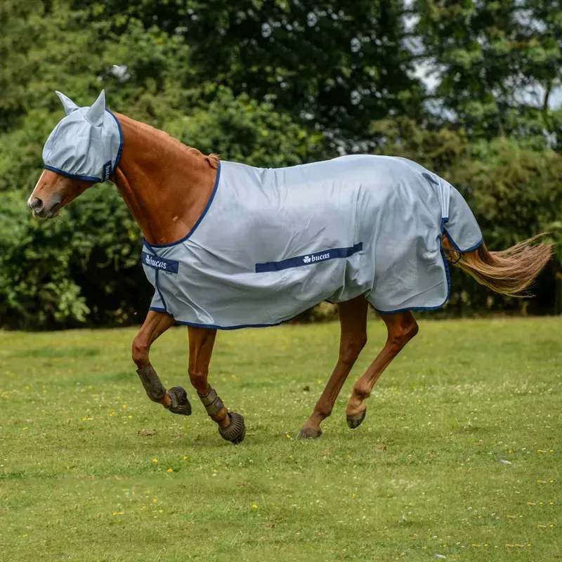 Bucas Buzz-Off Classic Standard Neck Fly Sheet - Silver/Blue-6