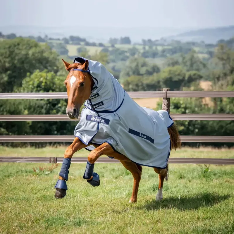 Bucas Buzz-Off Full Neck Fly Sheet - Silver/Blue-3