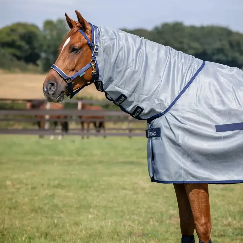Bucas Buzz-Off Full Neck Fly Sheet - Silver/Blue-1