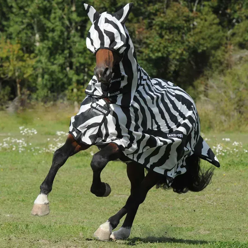Bucas Buzz-Off Full Neck Fly Sheet - Zebra Print-9