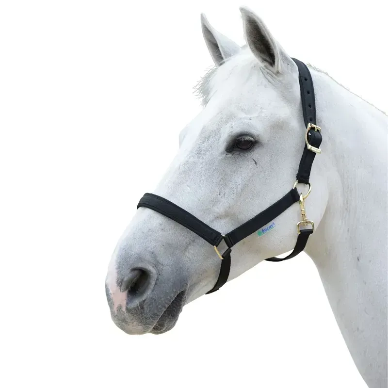 Bucas Dublin Foal Halter - Black/Black-1