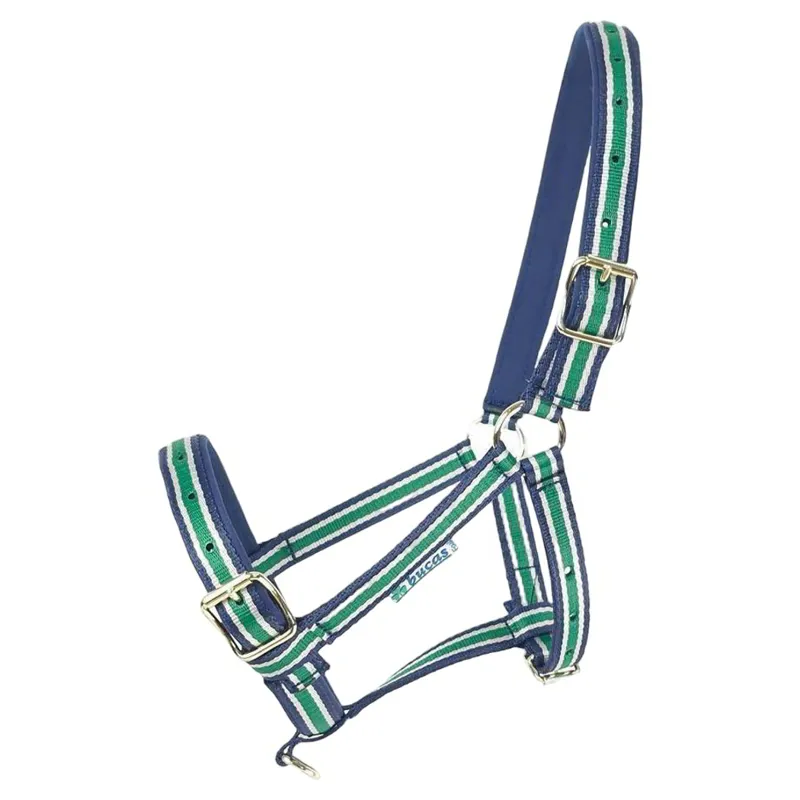 Bucas Dublin Foal Halter - Navy/Stripe