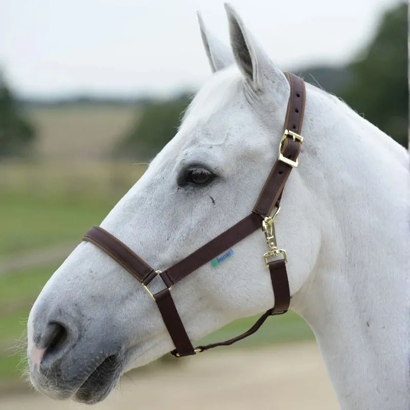Bucas Dublin Foal Halter - Brown/Brown-1