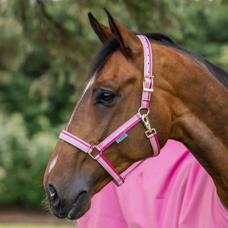 Bucas Dublin Halter - Aurora Pink