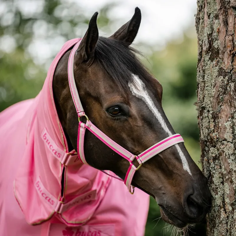 Bucas Dublin Halter - Aurora Pink-1