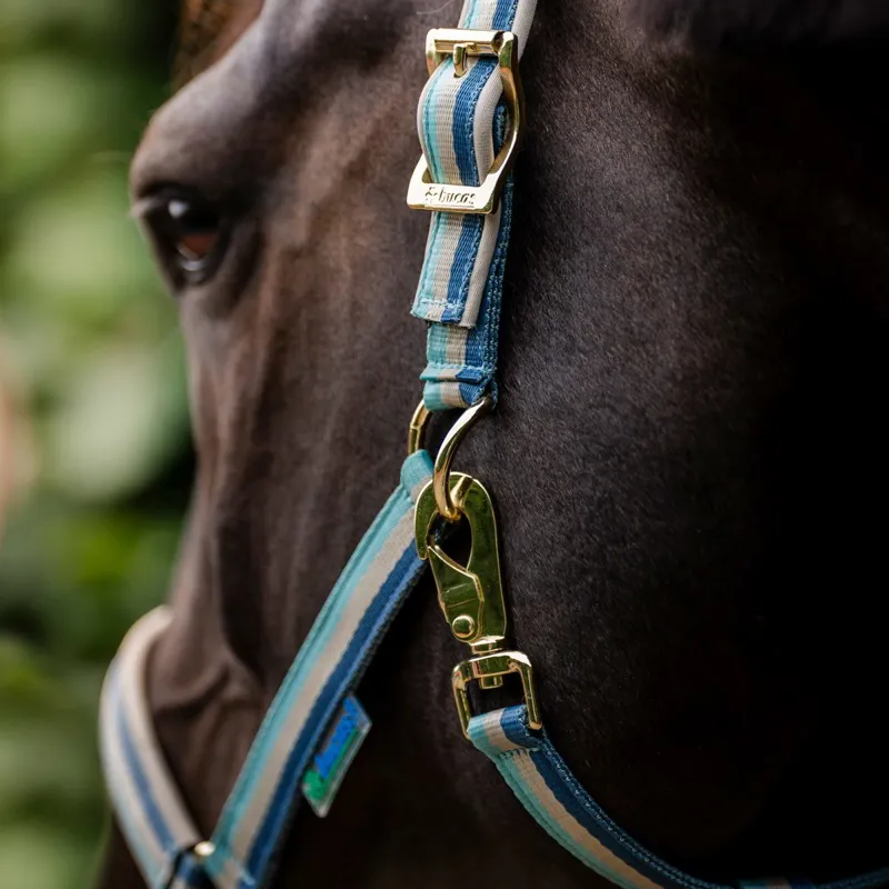 Bucas Dublin Halter - Turquoise-1