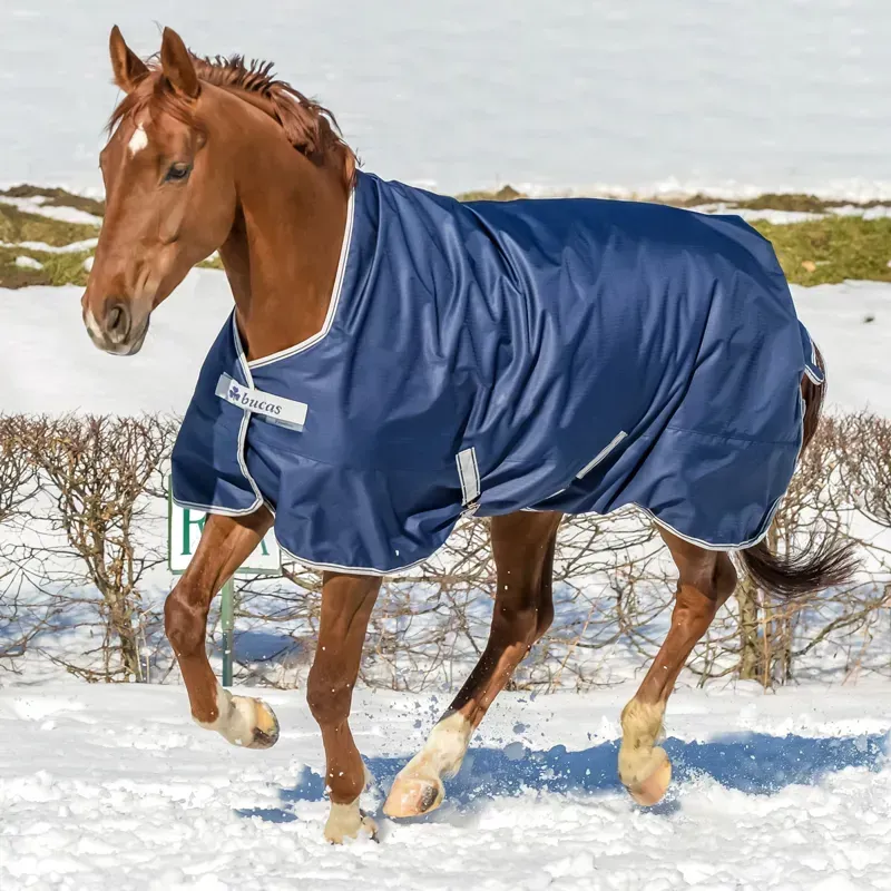 Bucas Freedom 0g Standard Neck Turnout Blanket - Navy-2