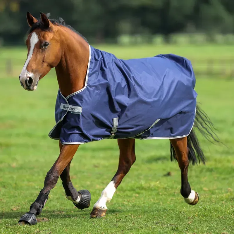 Bucas Freedom 0g Standard Neck Turnout Blanket - Navy-4