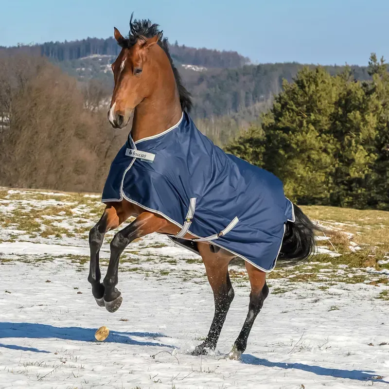 Bucas Freedom 0g Standard Neck Turnout Blanket - Navy-7