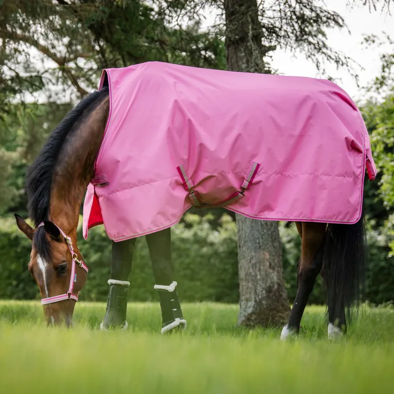 Bucas Freedom 0g Standard Neck Turnout Blanket - Aurora Pink-1
